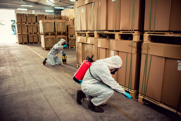 Best Pest Control Near Me  in Greensboro, AL