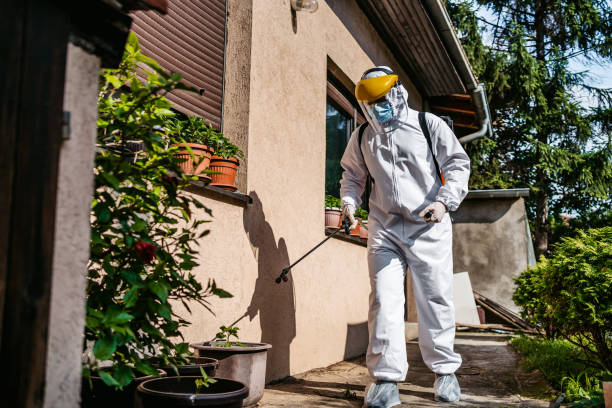 Best Emergency Pest Control  in Greensboro, AL