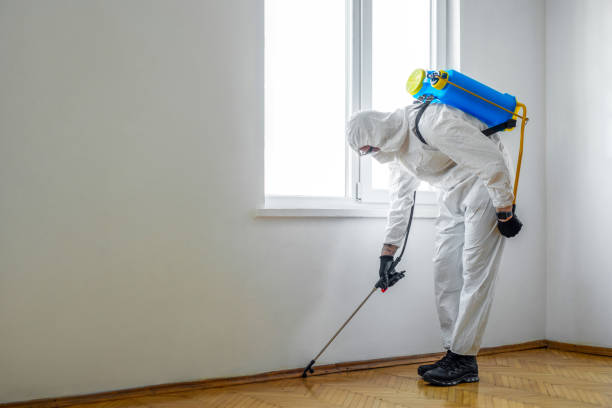 Best Affordable Pest Control Services  in Greensboro, AL