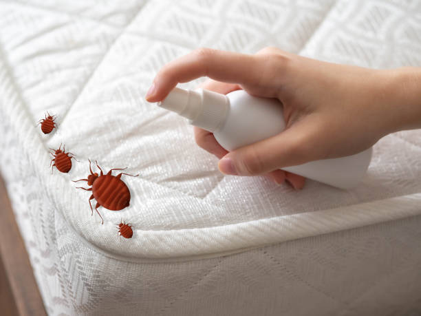 Best Pest Prevention Services  in Greensboro, AL
