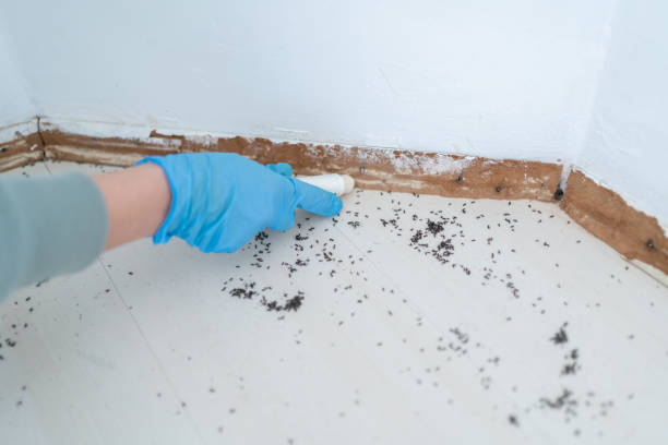 Best Best Pest Control Companies  in Greensboro, AL