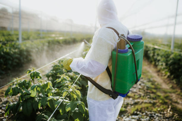 Best Pest Removal Services  in Greensboro, AL